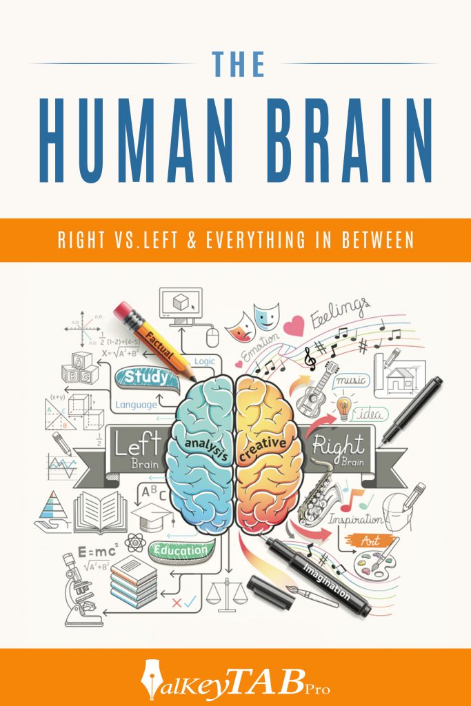 The Human Brain Ebook