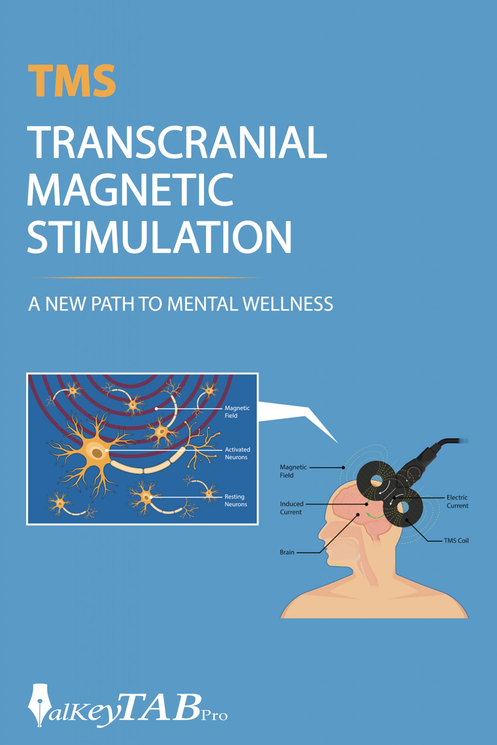 Transcranial Magnetic Simulation